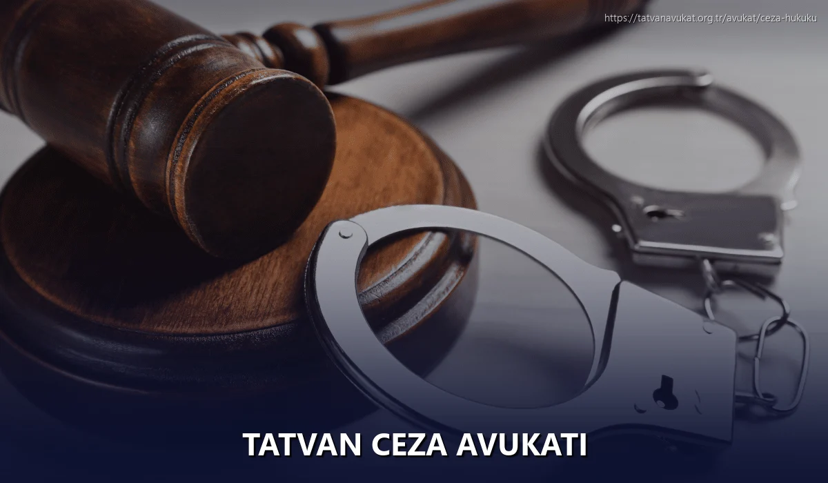 Tatvan Ceza Avukatı